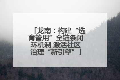 龙南：构建“选育管用”全链条闭环机制 激活社区治理“新引擎”