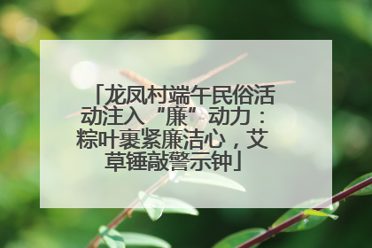 龙凤村端午民俗活动注入“廉”动力：粽叶裹紧廉洁心，艾草锤敲警示钟