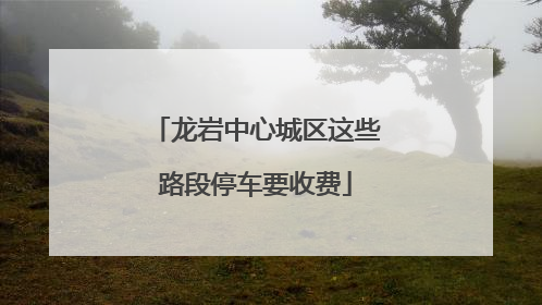 龙岩中心城区这些路段停车要收费