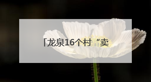龙泉16个村“卖空气”，领到12.4192万元分红
