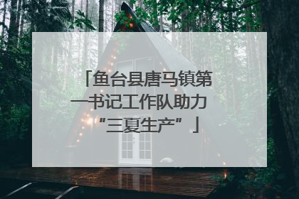 鱼台县唐马镇第一书记工作队助力“三夏生产”