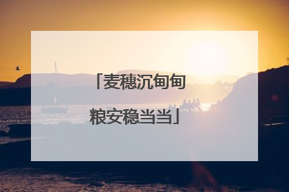 麦穗沉甸甸 粮安稳当当