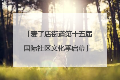 麦子店街道第十五届国际社区文化季启幕