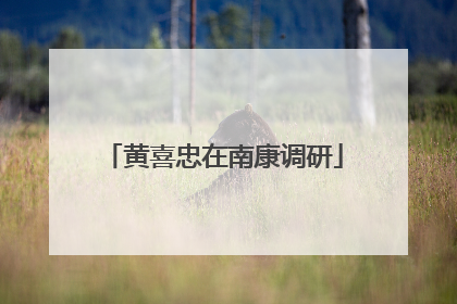 黄喜忠在南康调研