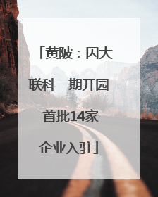 黄陂：因大联科一期开园 首批14家企业入驻