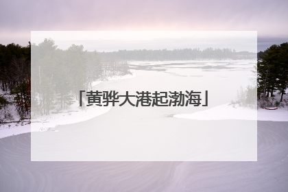 黄骅大港起渤海