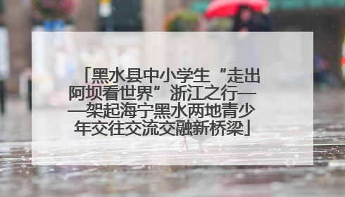 黑水县中小学生“走出阿坝看世界”浙江之行——架起海宁黑水两地青少年交往交流交融新桥梁