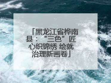 黑龙江省桦南县：“三色”匠心织锦绣 绘就治理新画卷