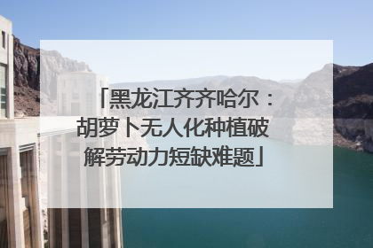 黑龙江齐齐哈尔：胡萝卜无人化种植破解劳动力短缺难题