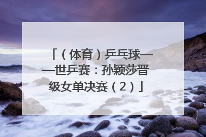 （体育）乒乓球——世乒赛：孙颖莎晋级女单决赛（2）