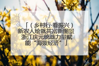 （乡村行·看振兴）新农人绘就共富新图景 浙江庆元统战力量赋能“海拔经济”