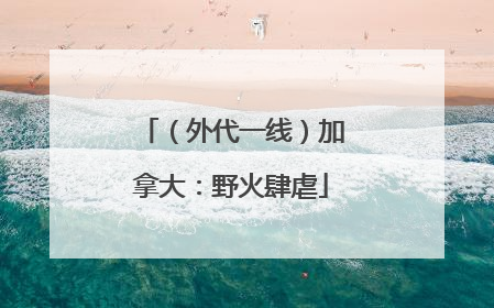 （外代一线）加拿大：野火肆虐