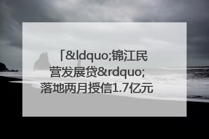 “锦江民营发展贷”落地两月授信1.7亿元，惠及118家民企