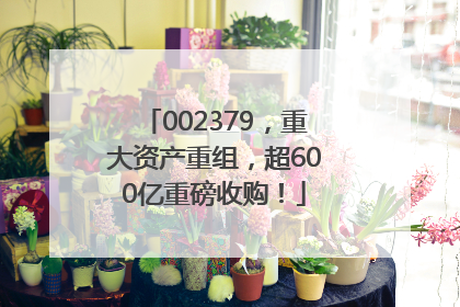 002379，重大资产重组，超600亿重磅收购！