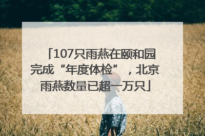 107只雨燕在颐和园完成“年度体检”，北京雨燕数量已超一万只