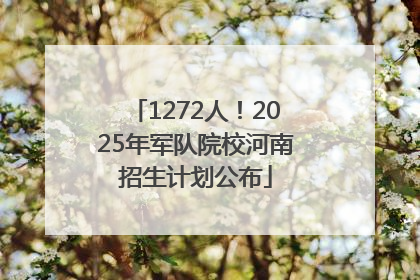 1272人！2025年军队院校河南招生计划公布