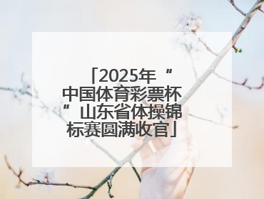 2025年“中国体育彩票杯”山东省体操锦标赛圆满收官