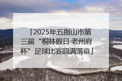 2025年五指山市第三届“桐林假日·老州府杯”足球比赛圆满落幕
