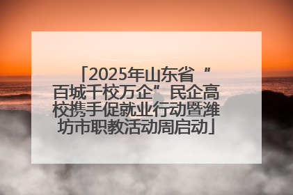 2025年山东省“百城千校万企”民企高校携手促就业行动暨潍坊市职教活动周启动