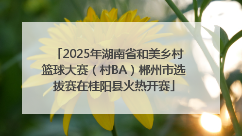 2025年湖南省和美乡村篮球大赛（村BA）郴州市选拔赛在桂阳县火热开赛