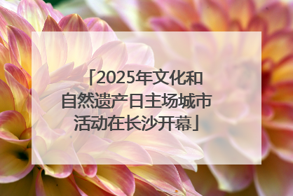 2025年文化和自然遗产日主场城市活动在长沙开幕