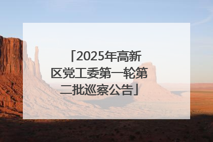 2025年高新区党工委第一轮第二批巡察公告