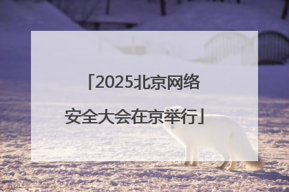 2025北京网络安全大会在京举行