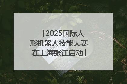 2025国际人形机器人技能大赛在上海张江启动