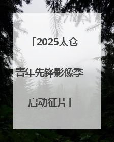 2025太仓青年先锋影像季启动征片
