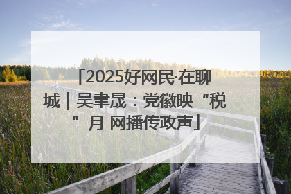 2025好网民·在聊城｜吴聿晟：党徽映“税”月 网播传政声