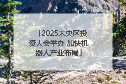 2025未央区投资大会举办 加快机器人产业布局