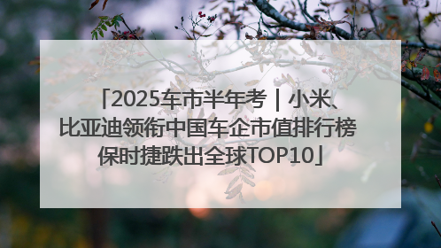 2025车市半年考｜小米、比亚迪领衔中国车企市值排行榜 保时捷跌出全球TOP10