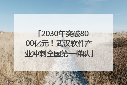 2030年突破8000亿元！武汉软件产业冲刺全国第一梯队
