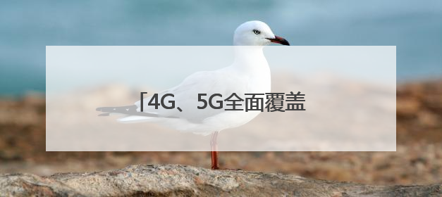 4G、5G全面覆盖，上海铁塔为乐高乐园建积木式通信塔