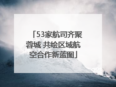53家航司齐聚蓉城 共绘区域航空合作新蓝图