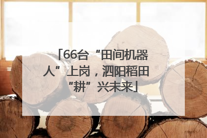 66台“田间机器人”上岗，泗阳稻田“耕”兴未来