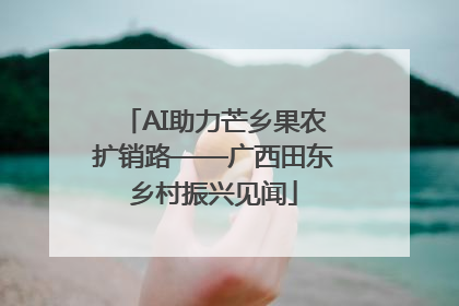 AI助力芒乡果农扩销路——广西田东乡村振兴见闻