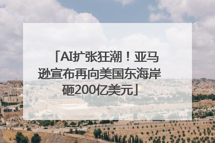 AI扩张狂潮！亚马逊宣布再向美国东海岸砸200亿美元